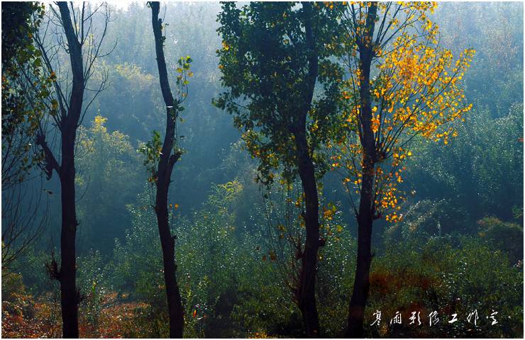 _MG_9551.JPG