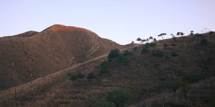 IMG_5312.JPG
