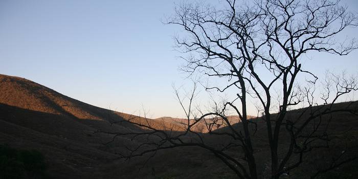 IMG_5184.JPG