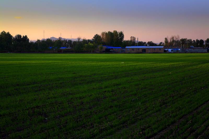 _MG_5295.jpg