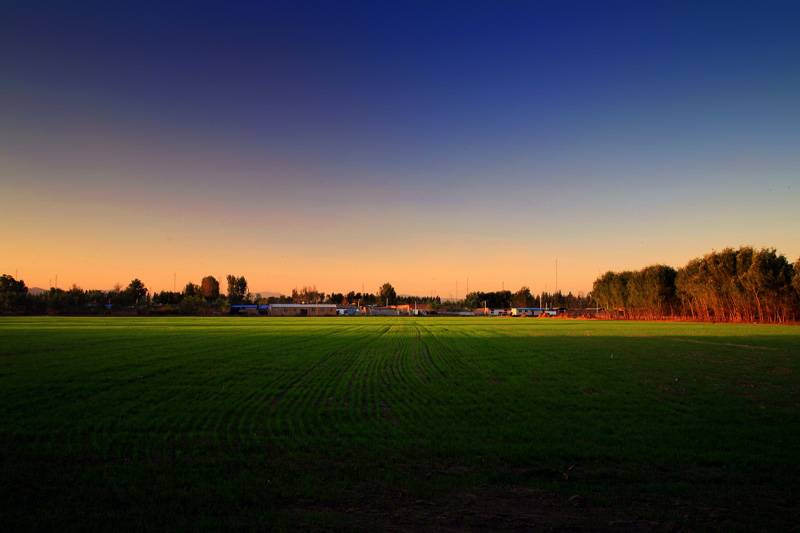 _MG_5286.jpg