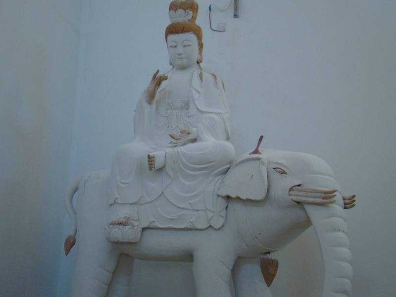 DSC02203.JPG