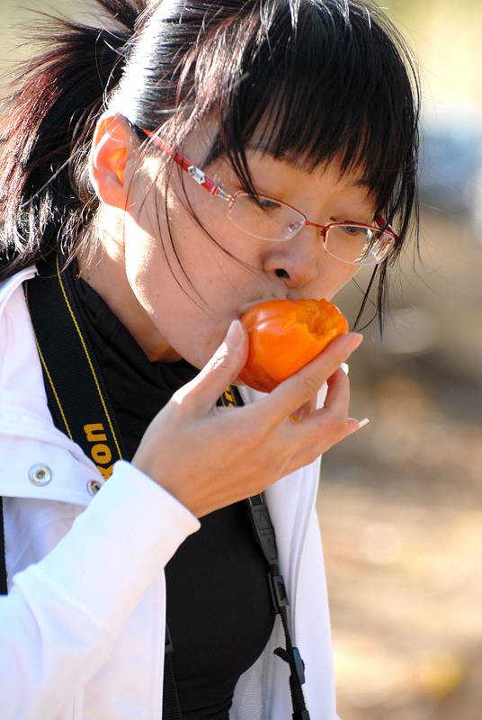 01.jpg