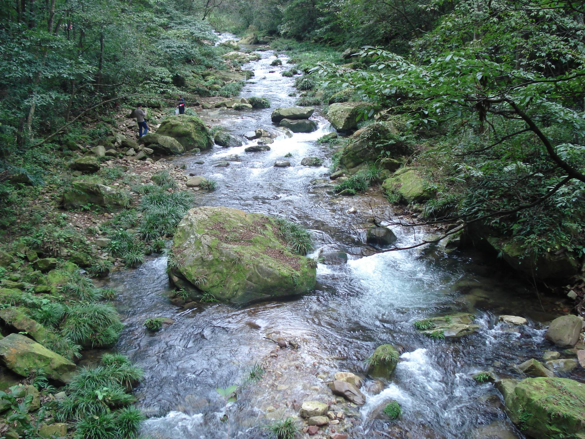 DSC01520.JPG