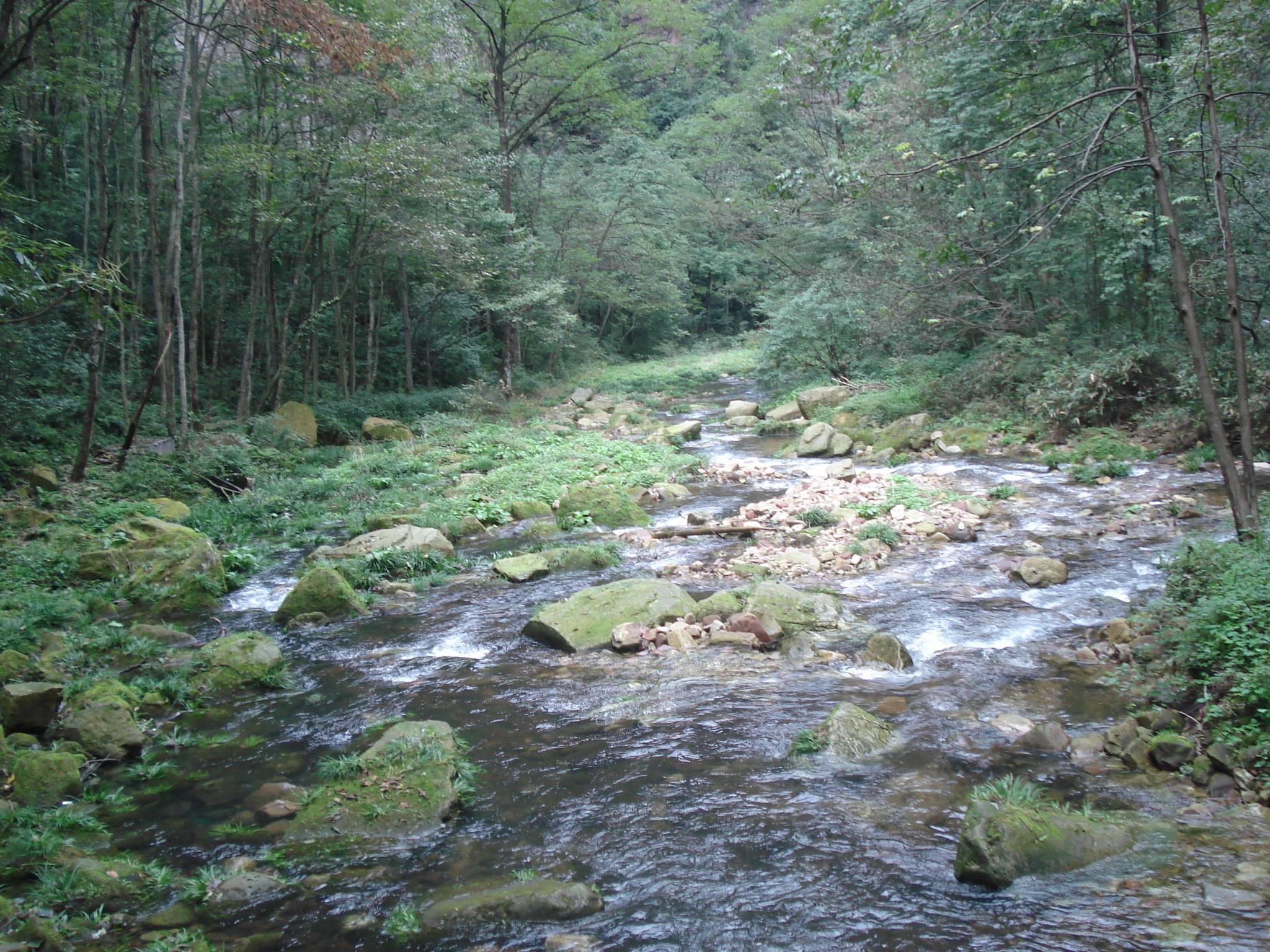 DSC01517.JPG