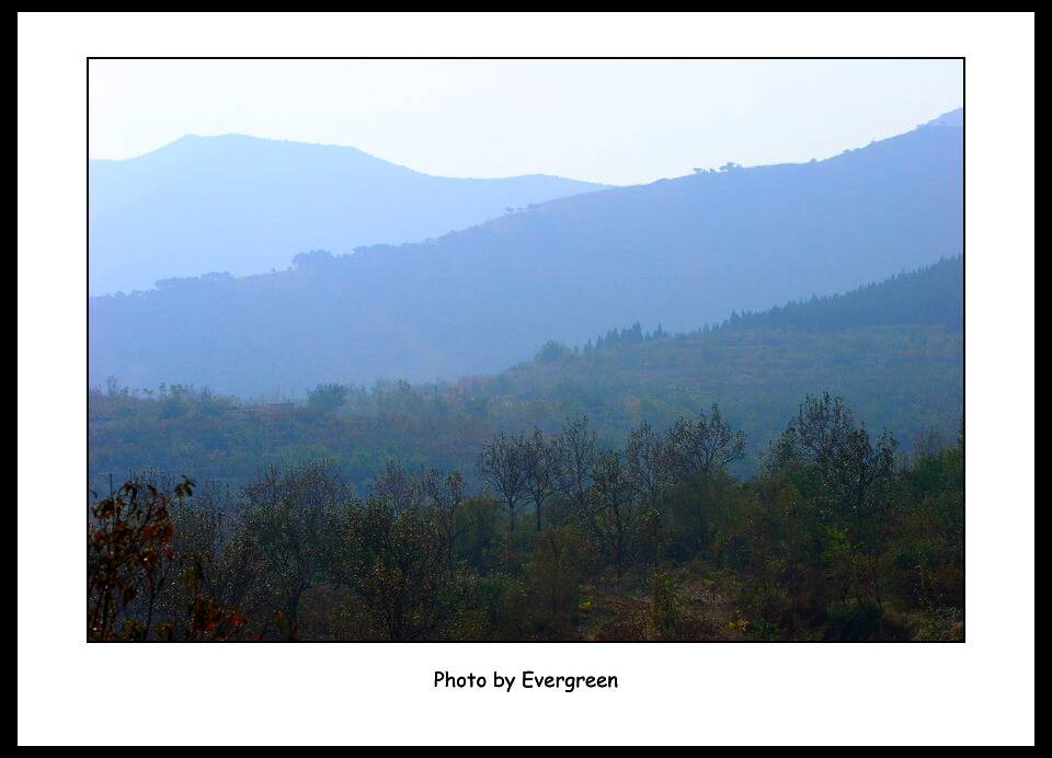IMG_705600.jpg