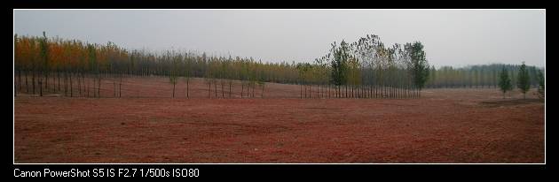 IMG_0270-0-0.jpg