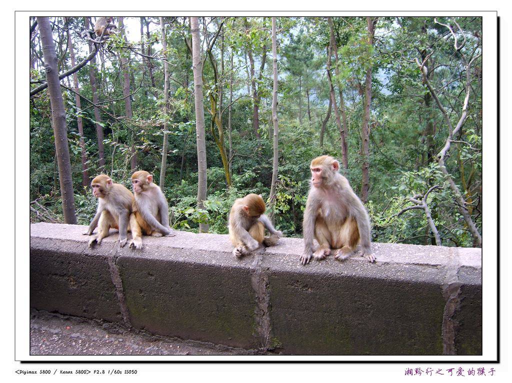 S8004801_nEO_IMG.jpg
