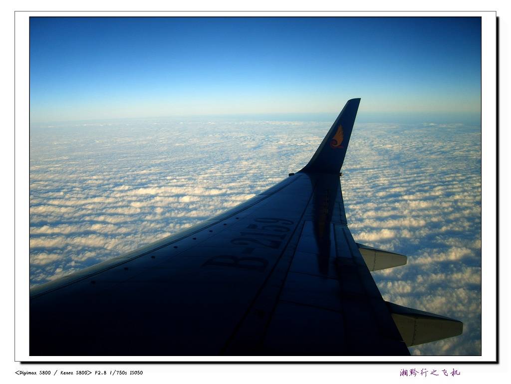S8004890.jpg