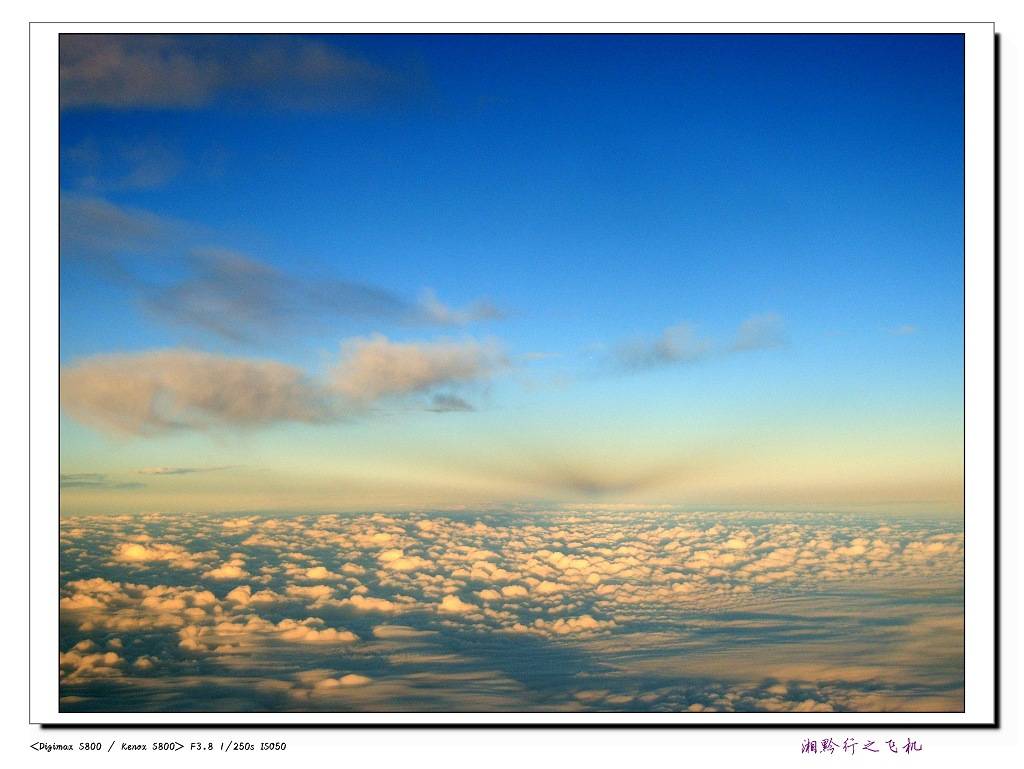 S8004904.jpg