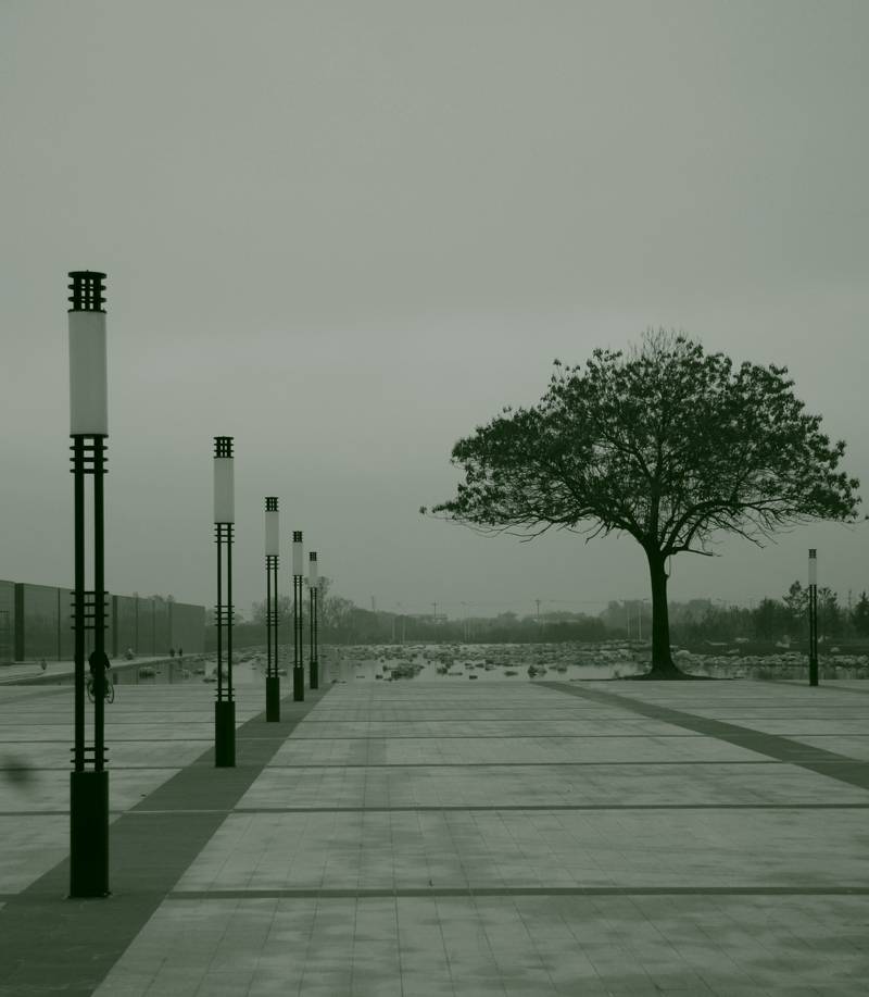 _MG_5203.jpg