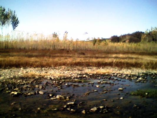 PIC_6764.jpg
