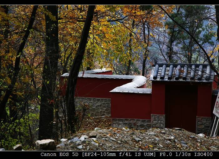_MG_6006-1.jpg