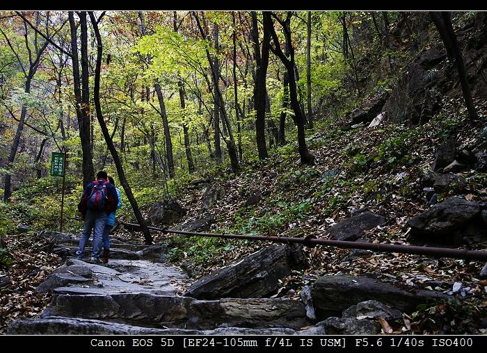 _MG_6205-1.jpg