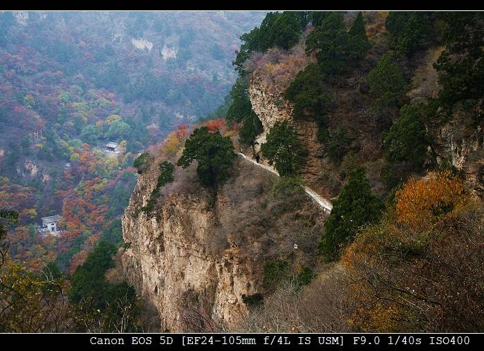 _MG_6146-1.jpg
