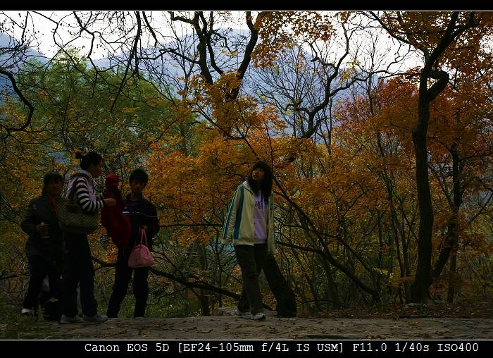 _MG_6077-1.jpg
