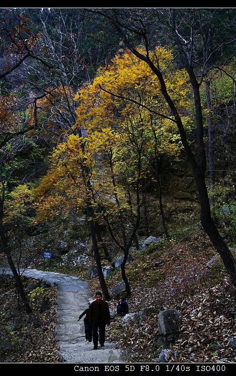 _MG_6177-1.jpg