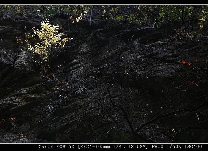 _MG_6260-1.jpg