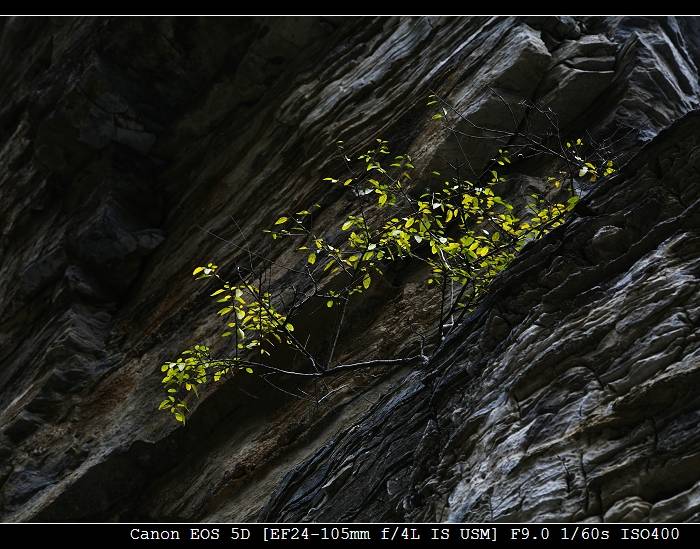 _MG_6316-1.jpg