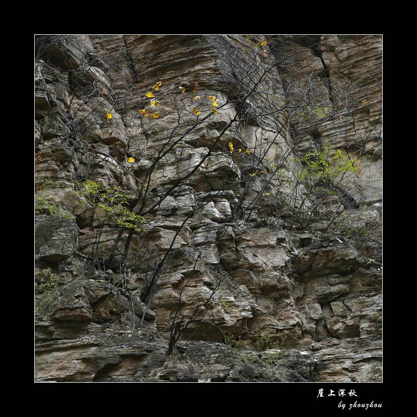 _MG_6322-0.jpg