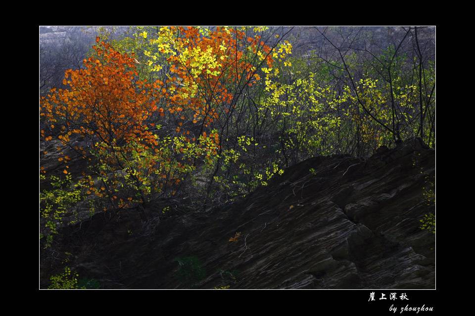 _MG_6273-0.jpg