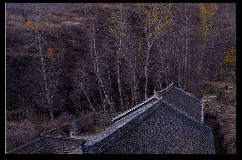 DSC_0126.jpg