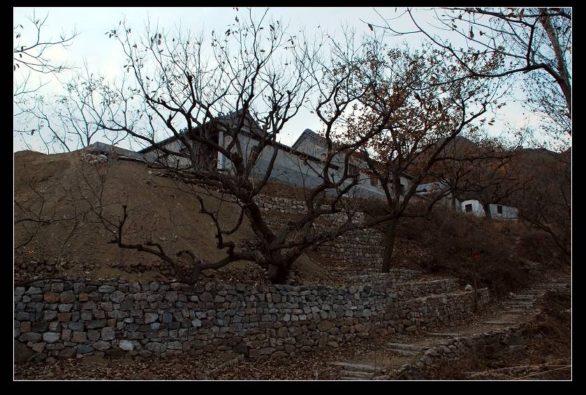 DSC_0134.jpg
