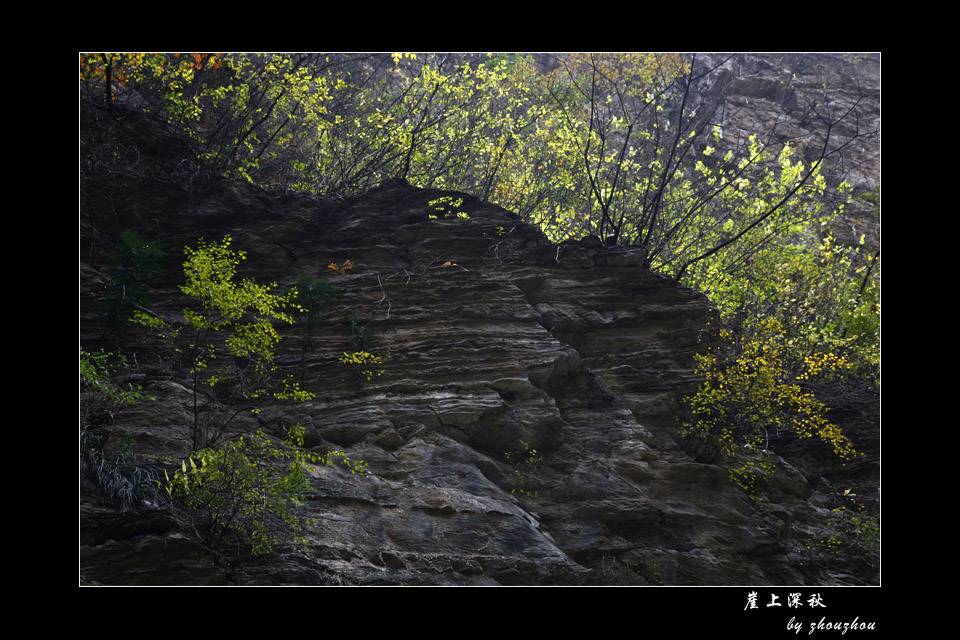 _MG_6267-0.jpg