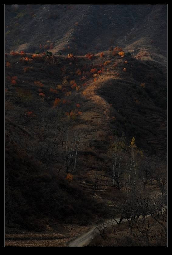 DSC_0052.jpg