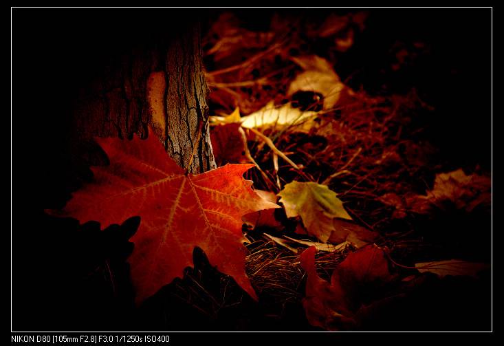 DSC_0075.jpg