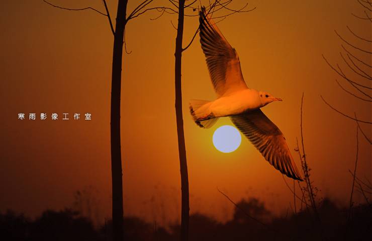 _MG_0760.JPG