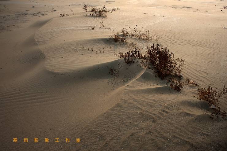 _MG_6676.JPG