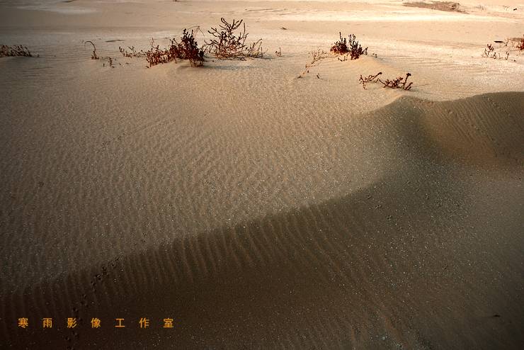 _MG_6673.JPG