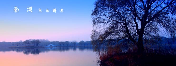 _MG_6726.JPG