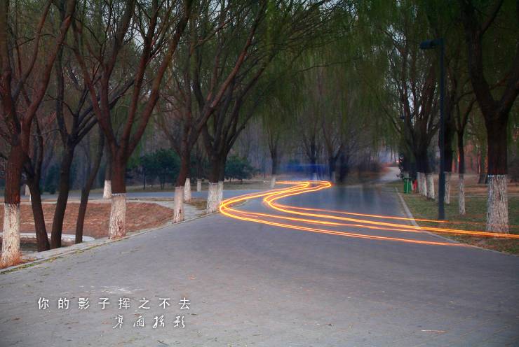 _MG_6757.JPG