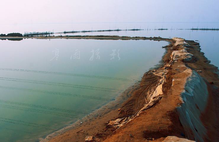 _MG_6600.JPG