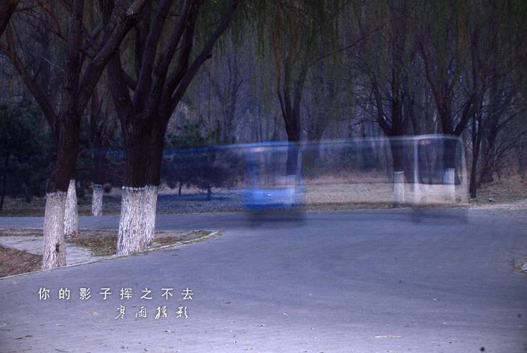 _MG_6746.JPG