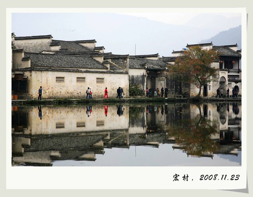 _MG_7310-1.jpg