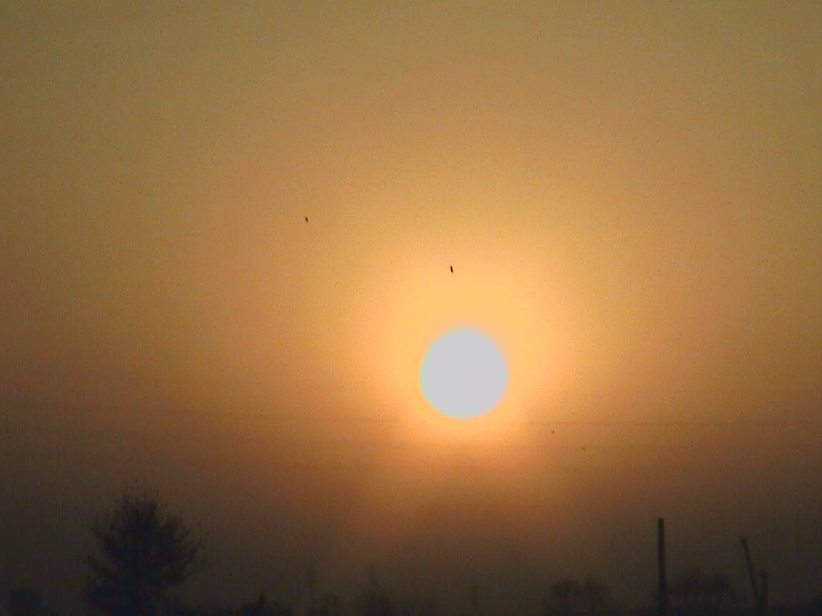 DCAM0077.JPG