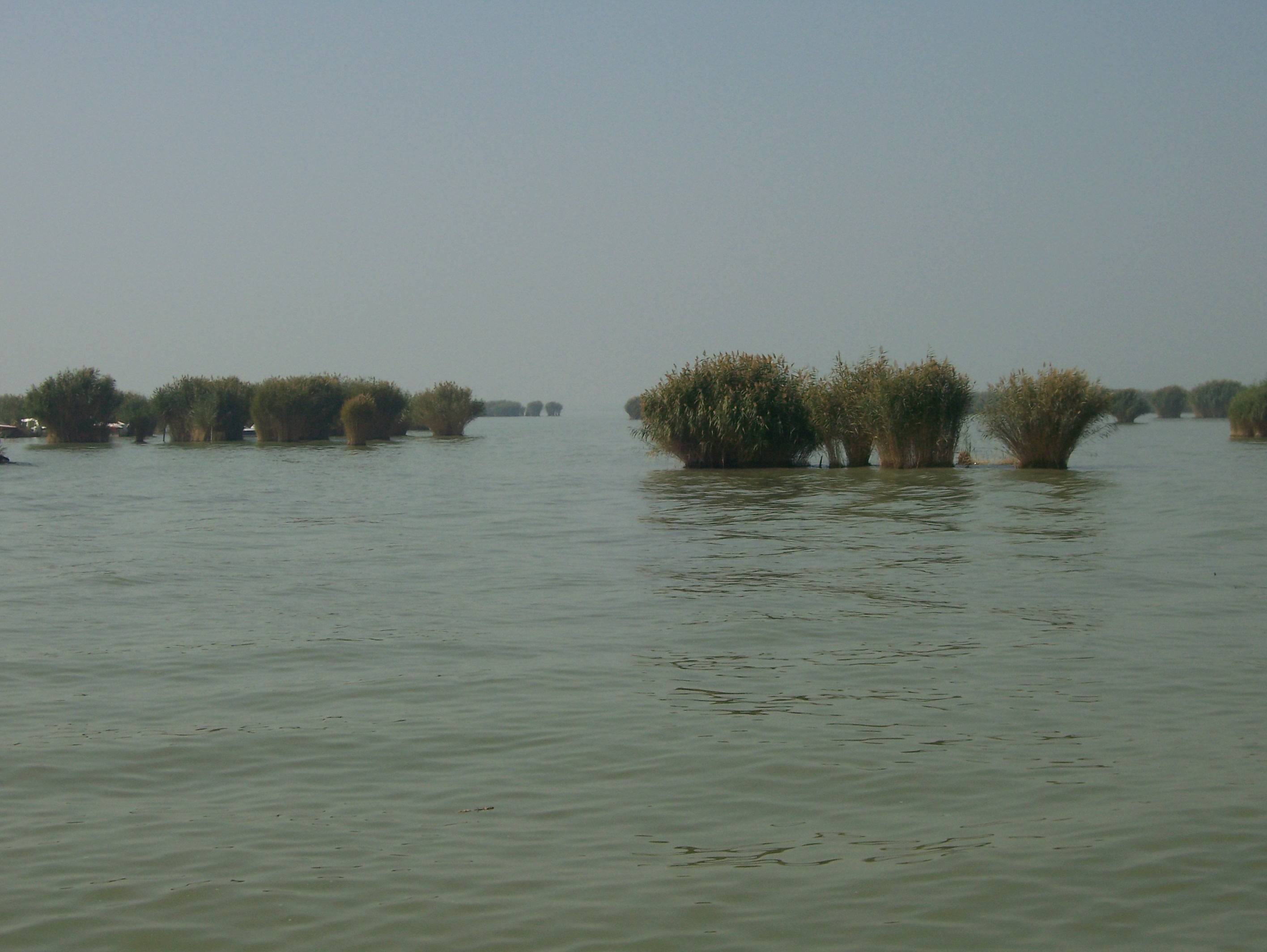 100_4883.JPG