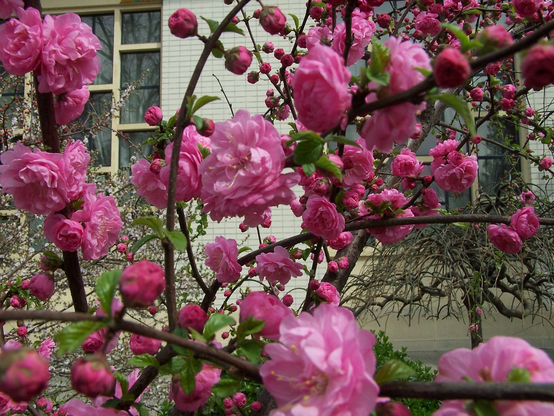 100_5318.JPG
