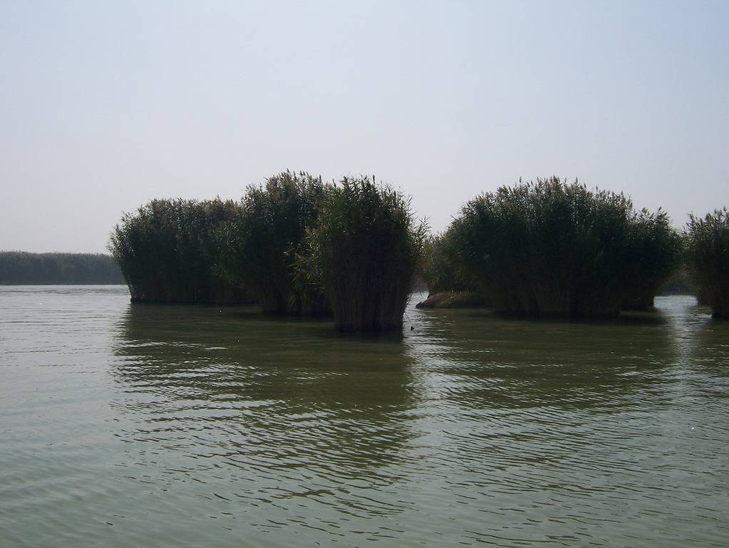 100_4892.JPG