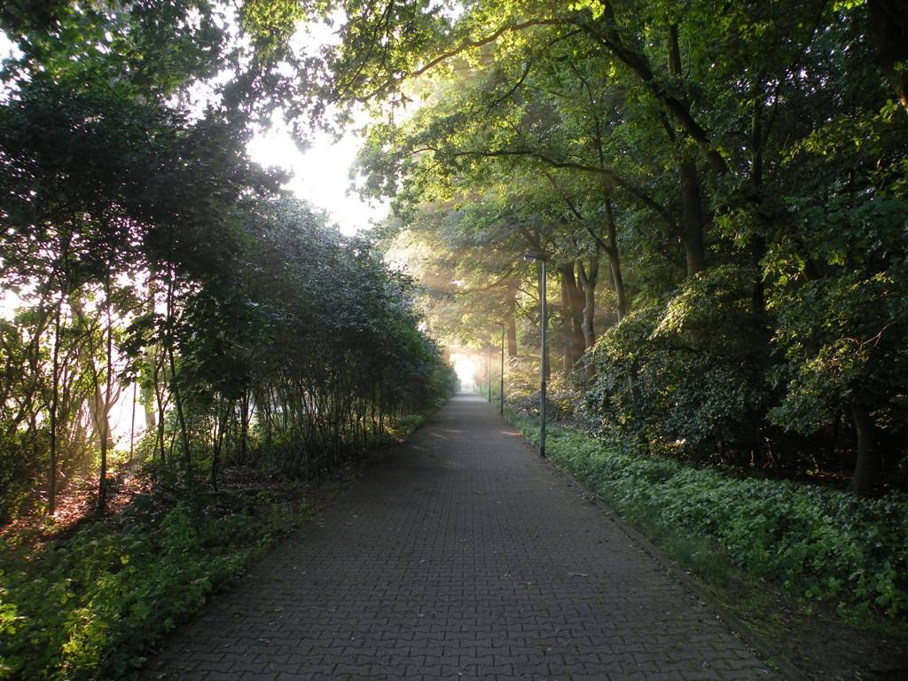 DSCN1300.JPG
