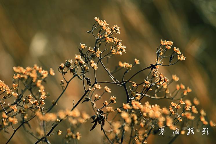 _MG_7150.JPG