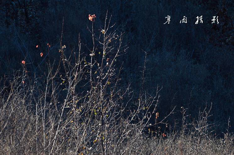 _MG_7157.JPG