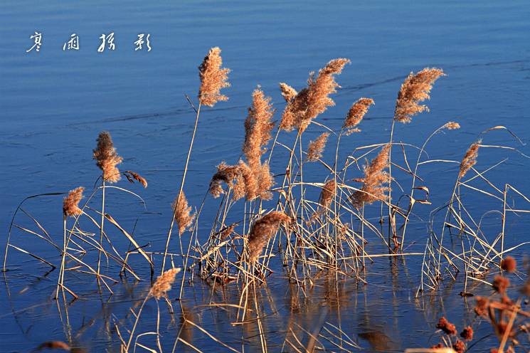 _MG_7189.JPG