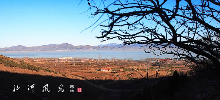 _MG_7003.JPG