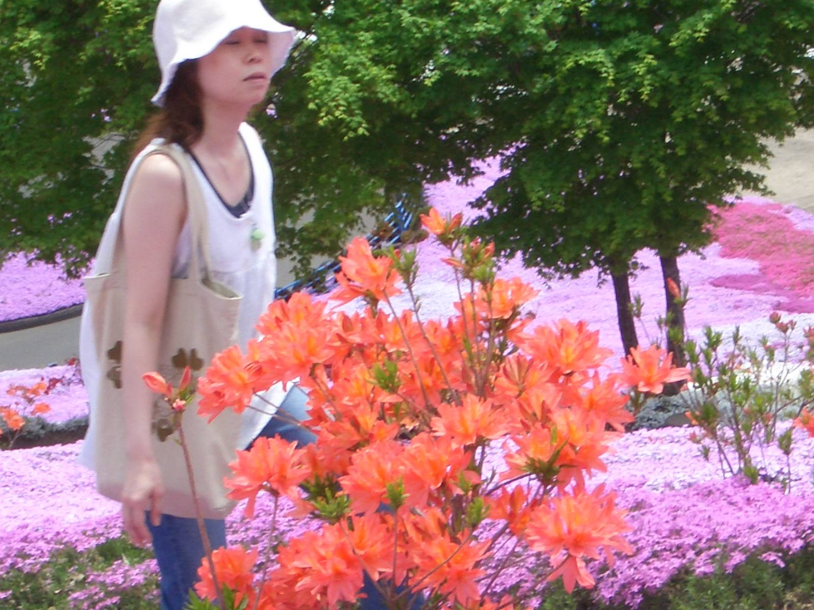 CIMG0190.JPG