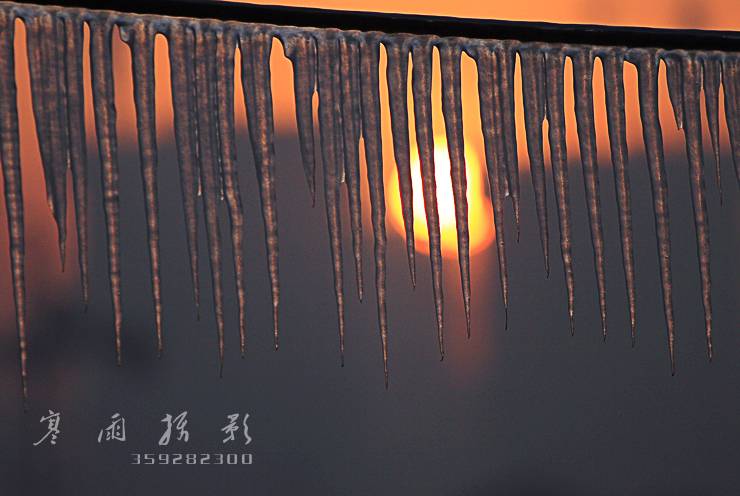 _MG_7388.JPG