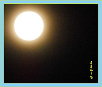DSCF0441().jpg